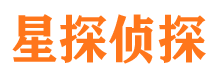 磐石市侦探公司